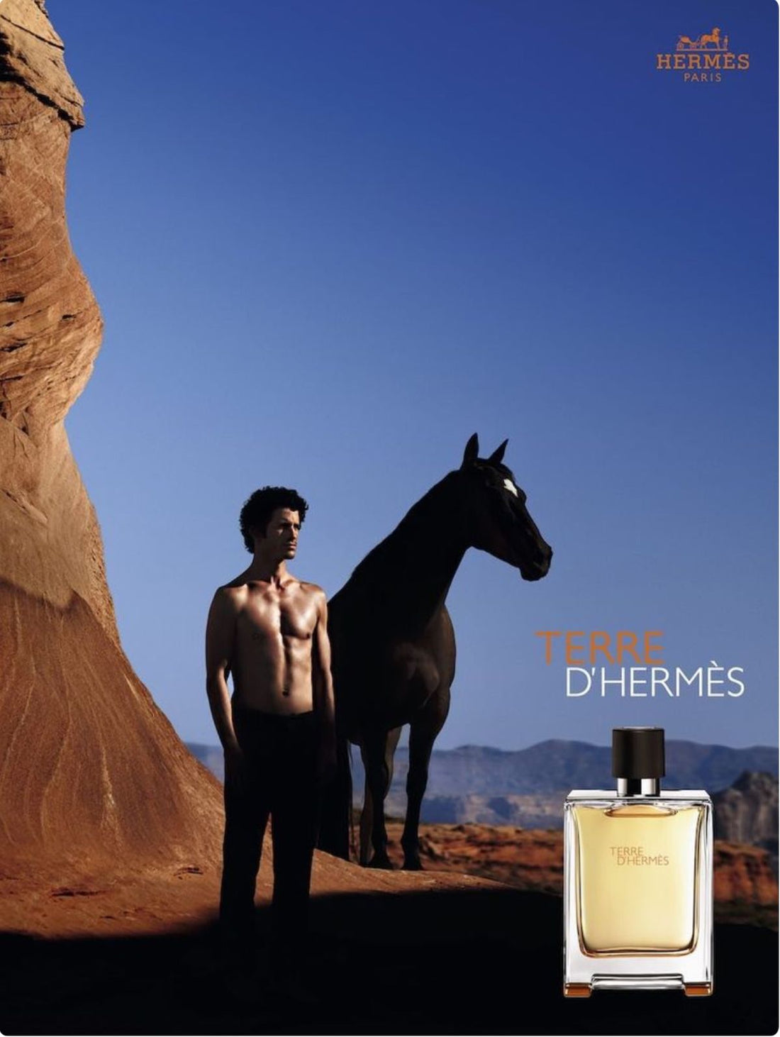 Hermès Terre d'Hermès Eau de Toilette Pria 100ml Parfum Original Woody Maskulin